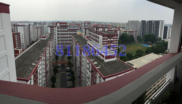 Blk 204 Choa Chu Kang Avenue 1 (Choa Chu Kang), HDB Executive #77508342